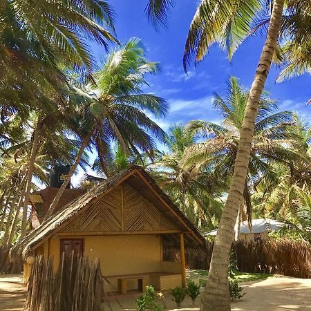 Seahorse Beach Resort Калпития Экстерьер фото