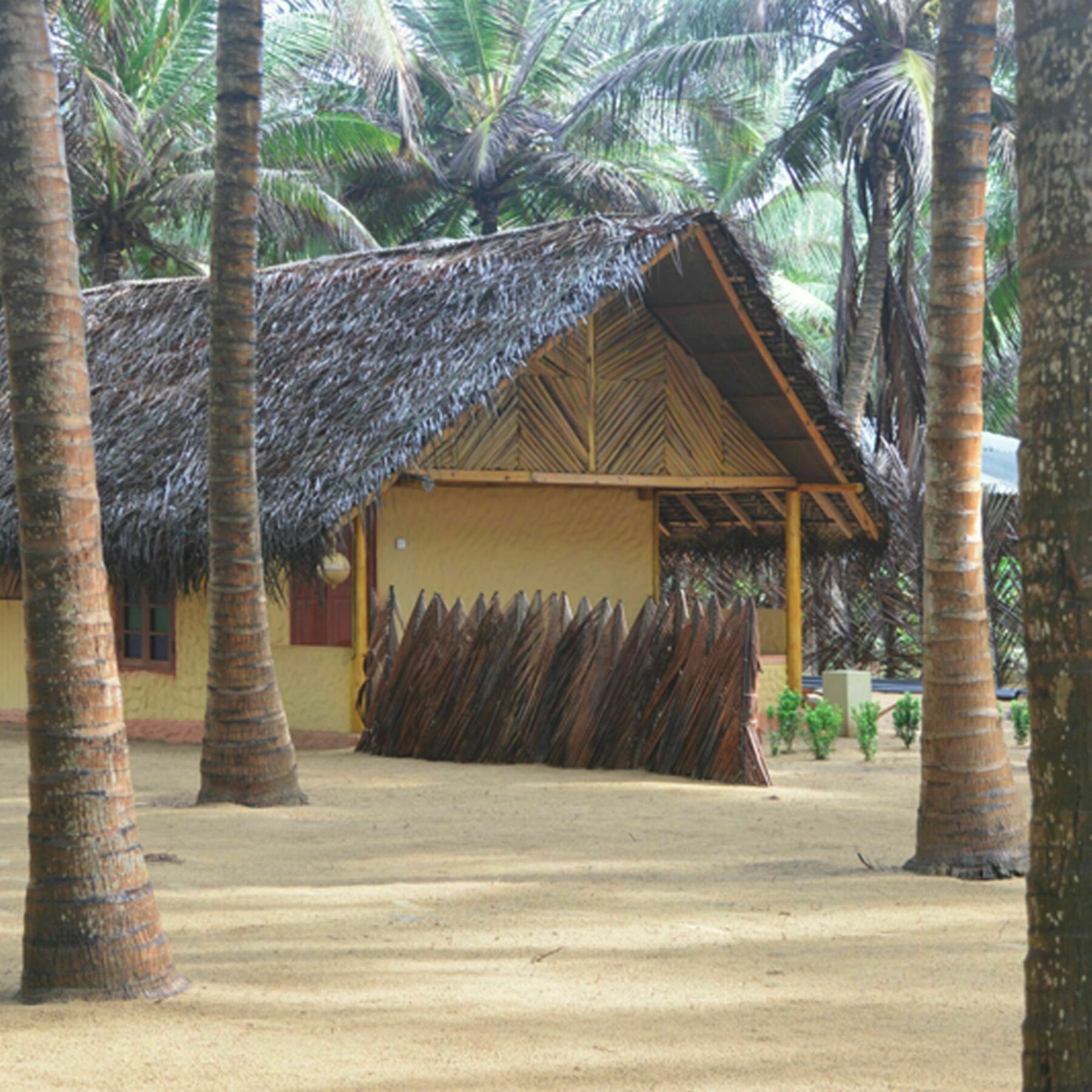 Seahorse Beach Resort Калпития Экстерьер фото